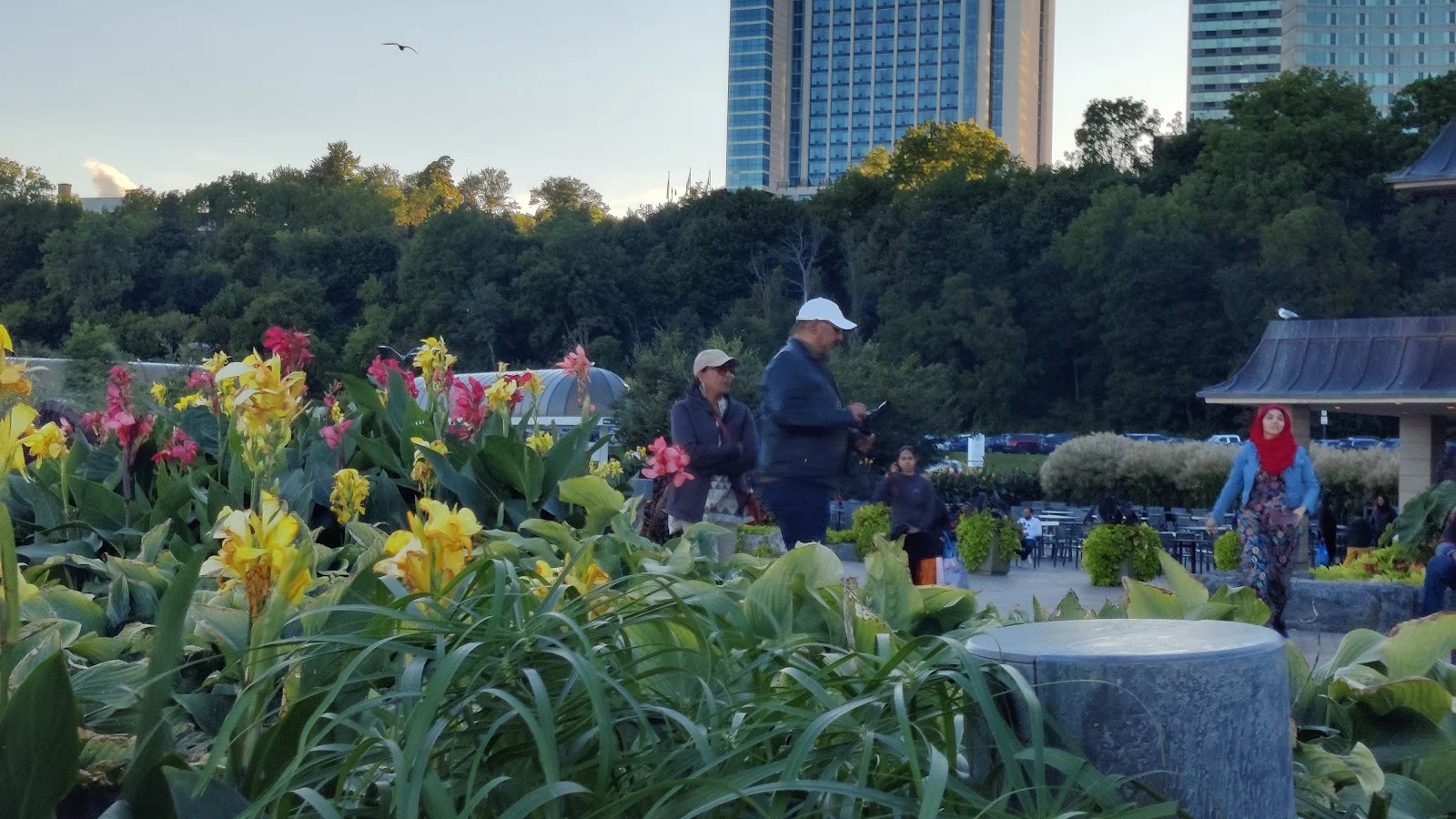 Niagara Falls & Around