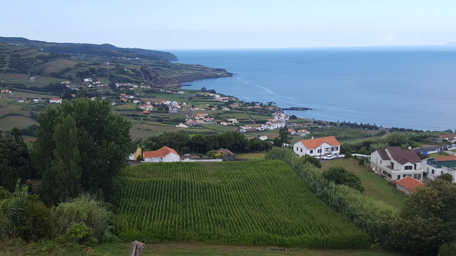 Horta