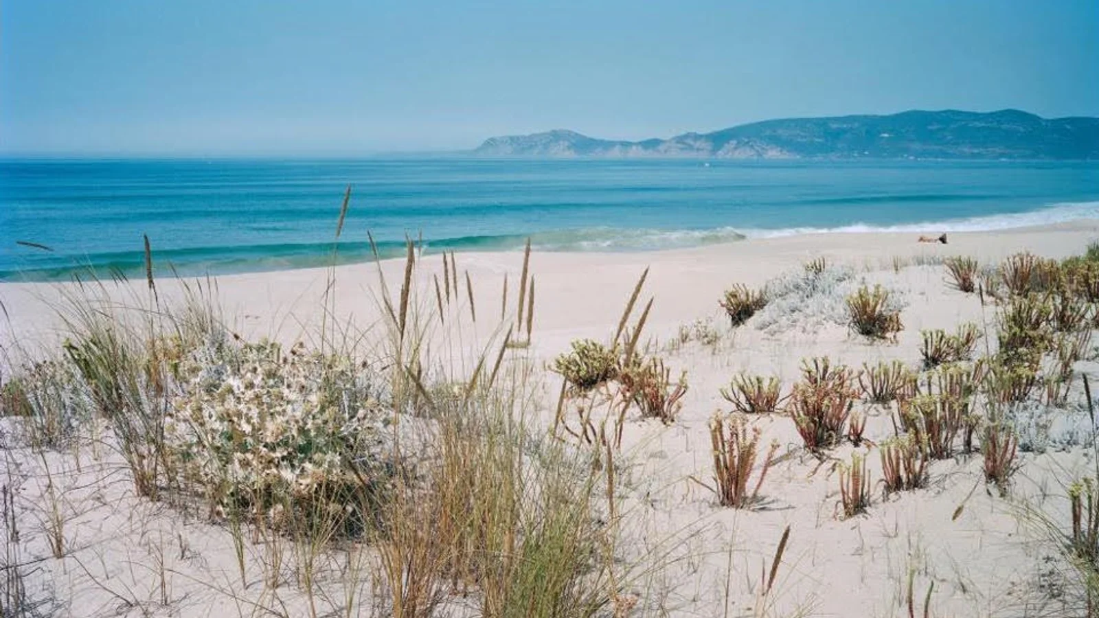 Comporta