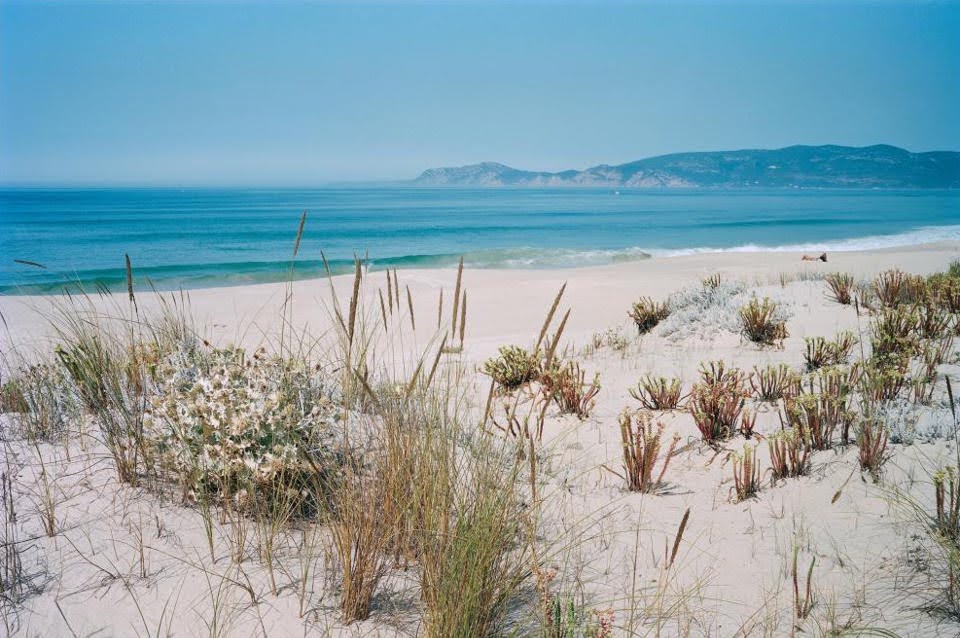 Comporta
