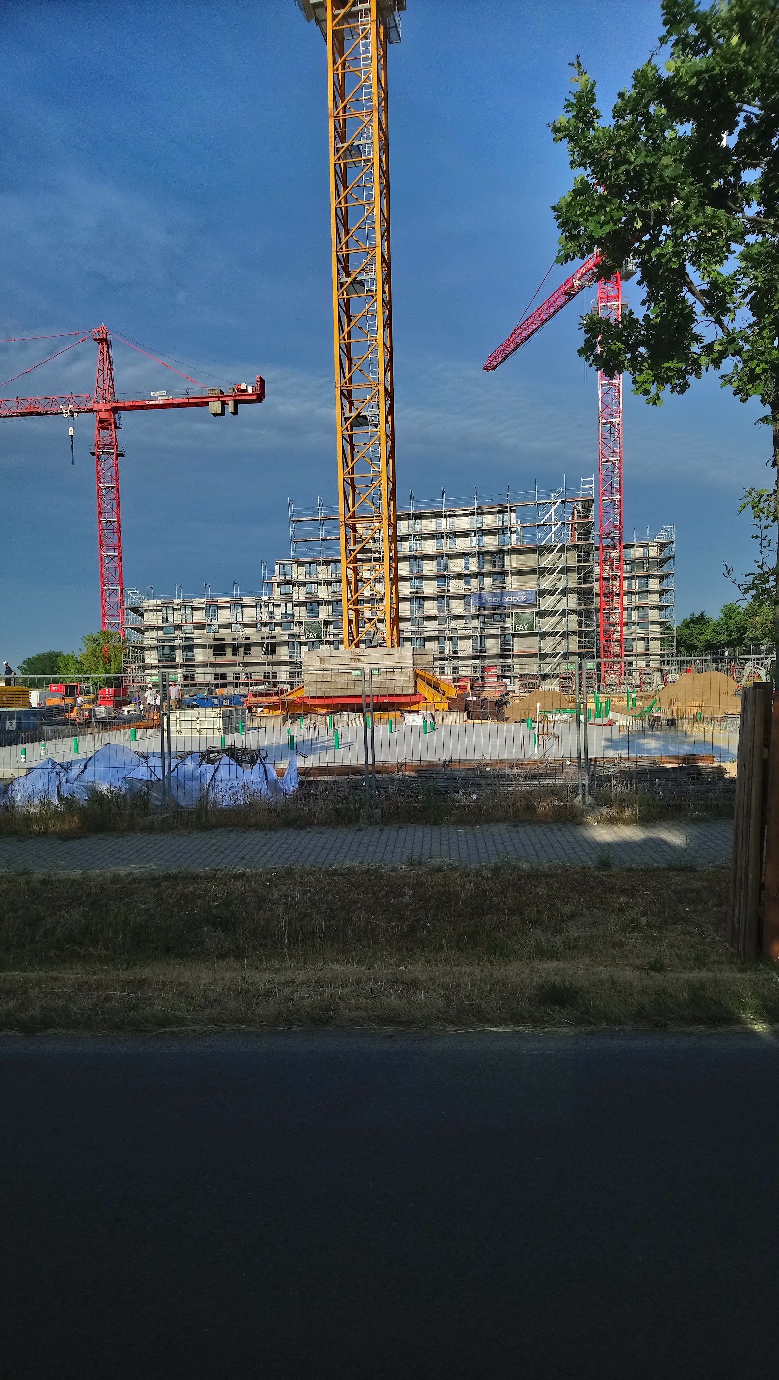 Schonefeld