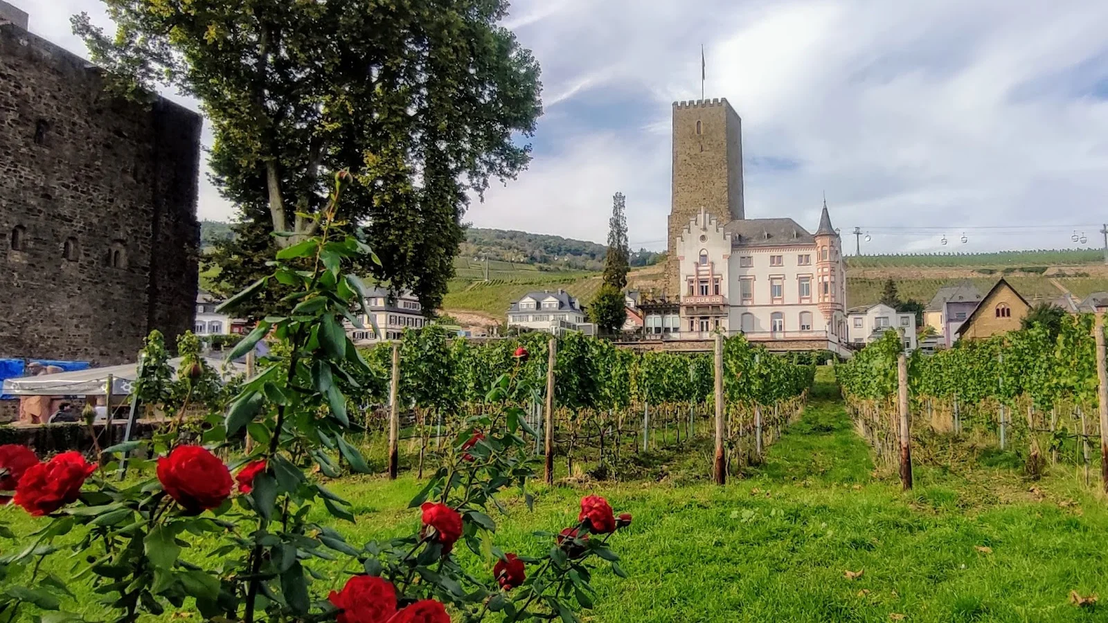 Ruedesheim am Rhein