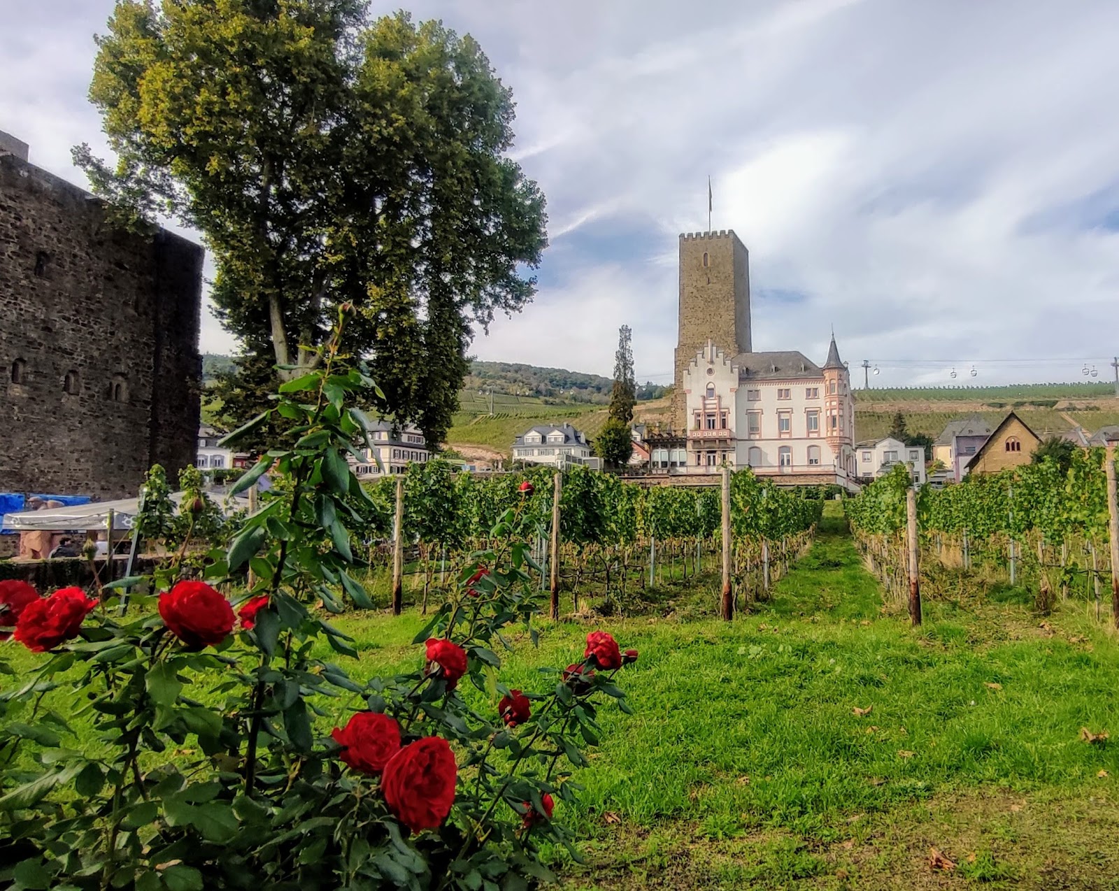 Ruedesheim am Rhein