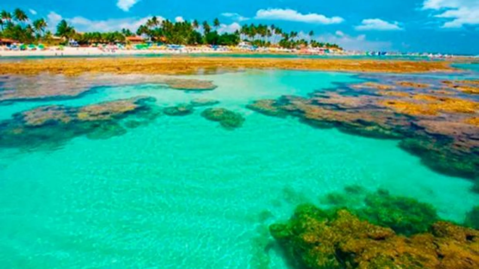Porto de Galinhas