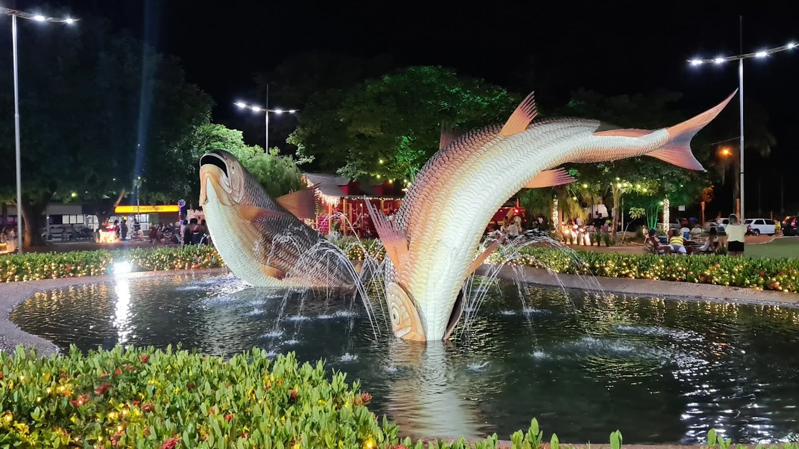 Bonito