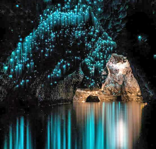 Waitomo