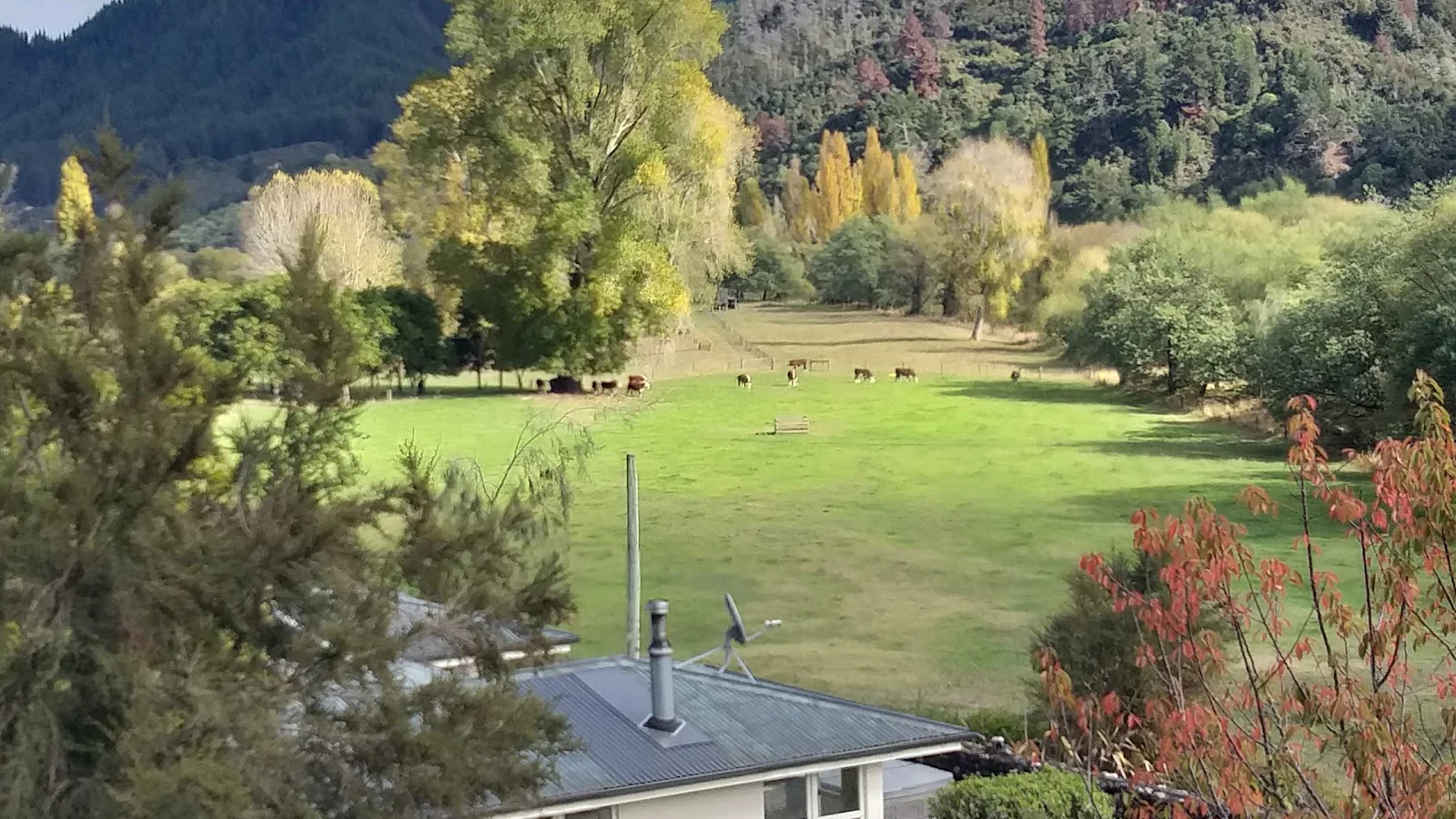 Motueka