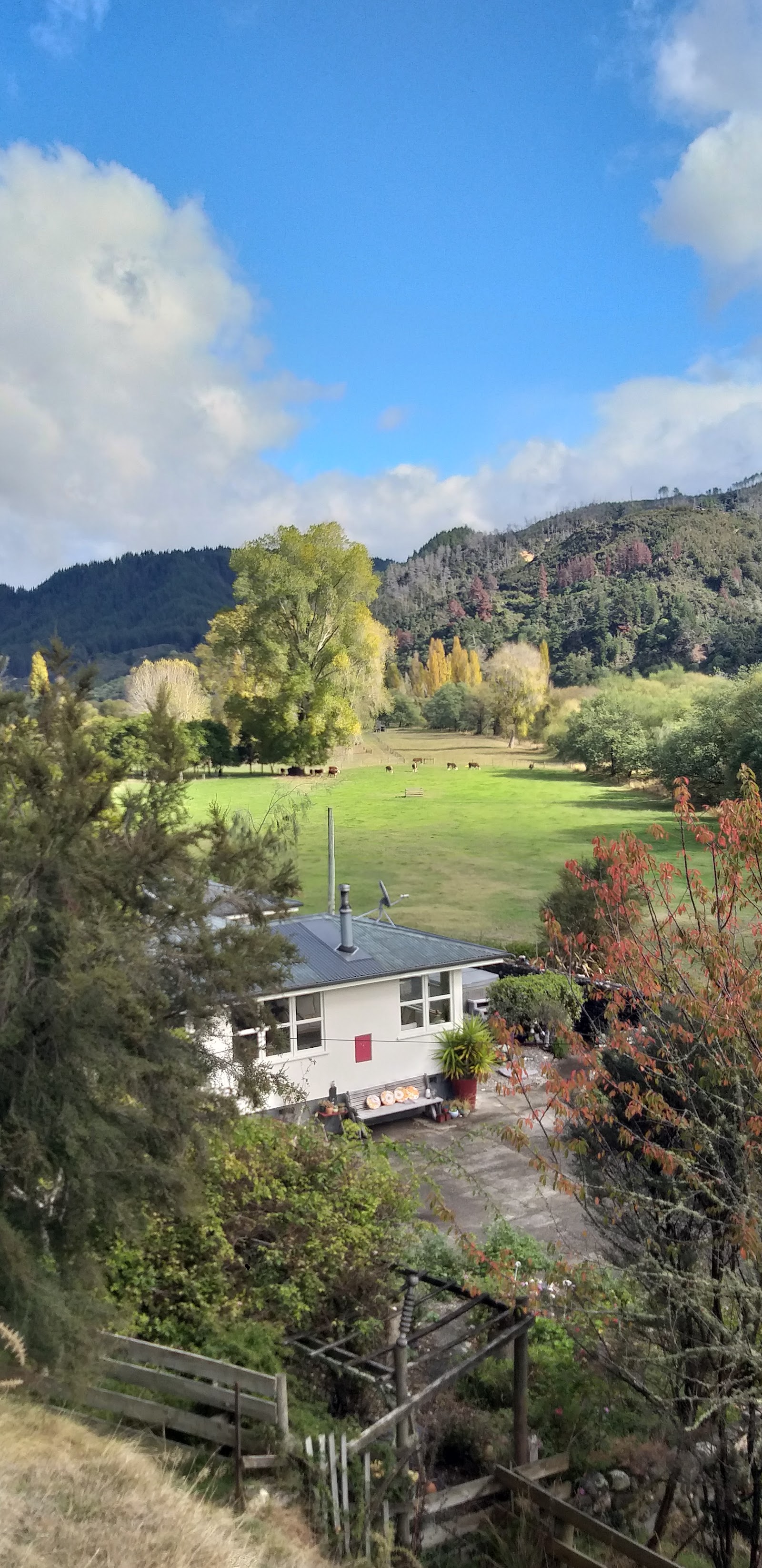 Motueka