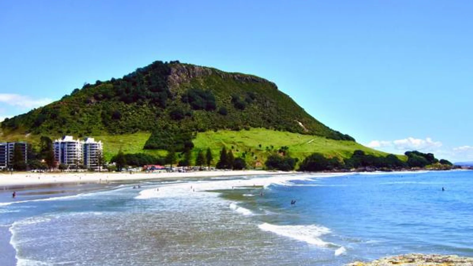 Tauranga