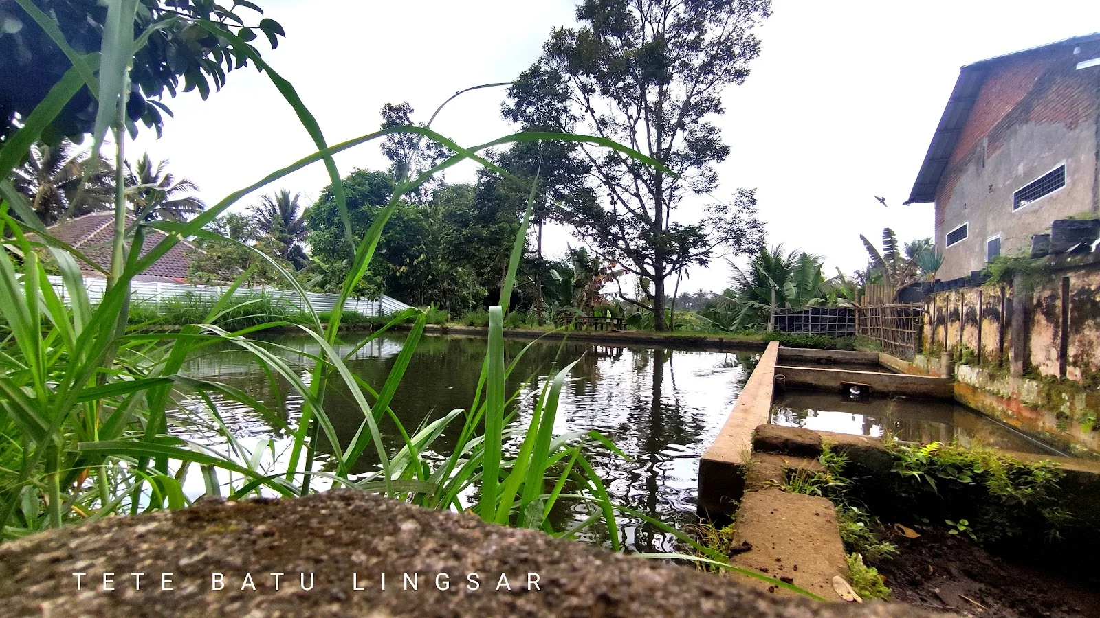 Tetebatu