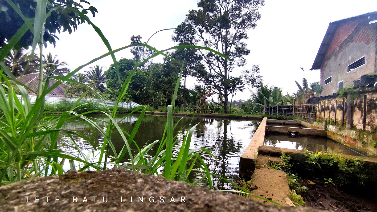 Tetebatu