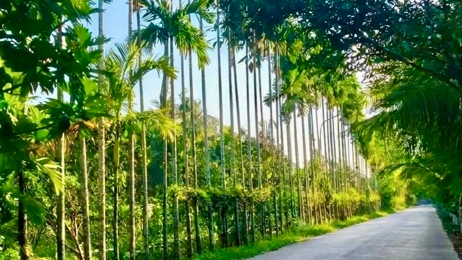 Ben Tre