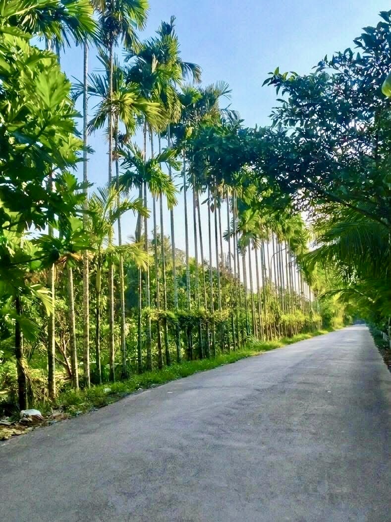 Ben Tre