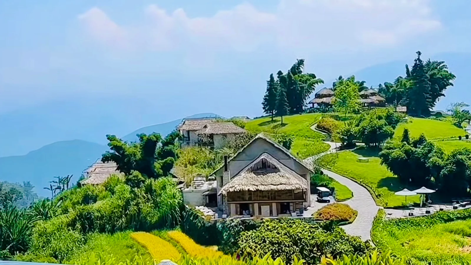 Sapa