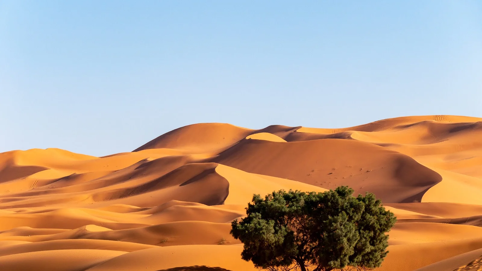 Erg Chebbi