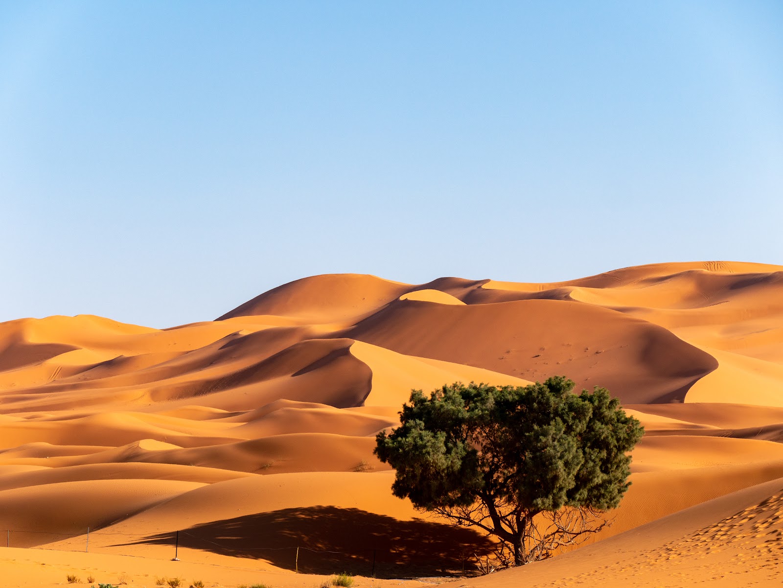 Erg Chebbi
