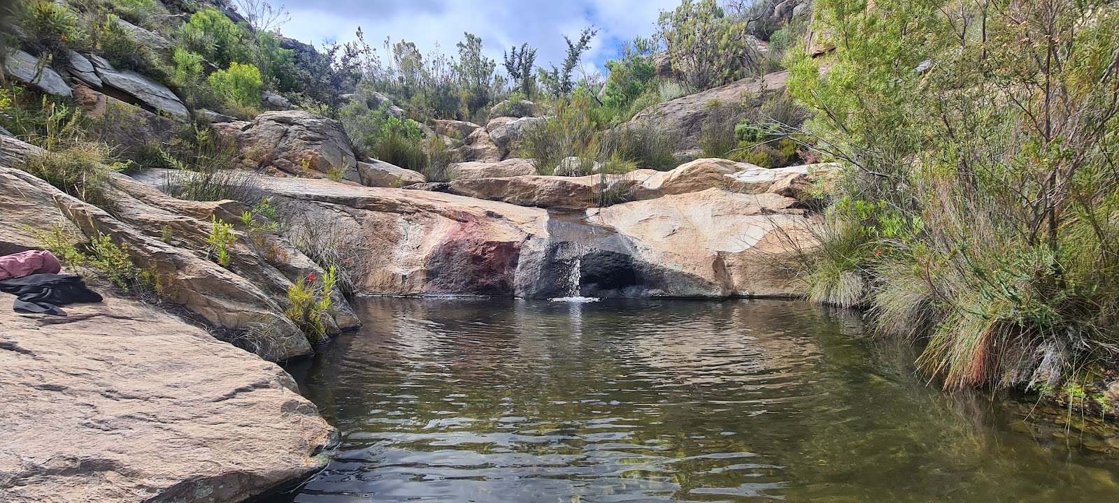 Montagu