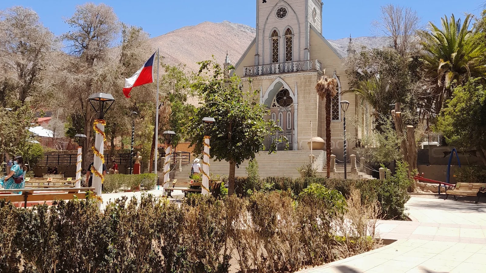 Pisco Elqui