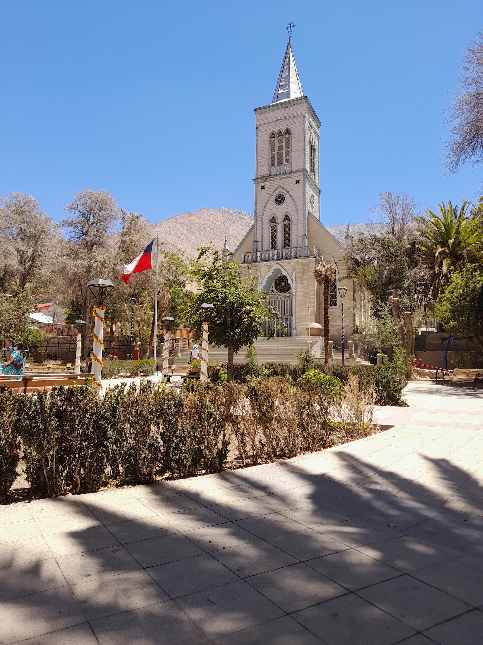 Pisco Elqui