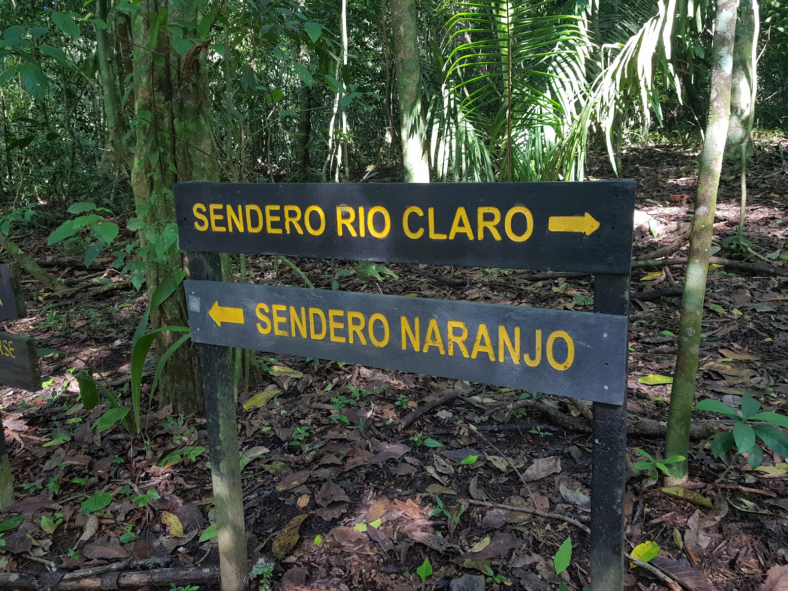Puerto Jimenez