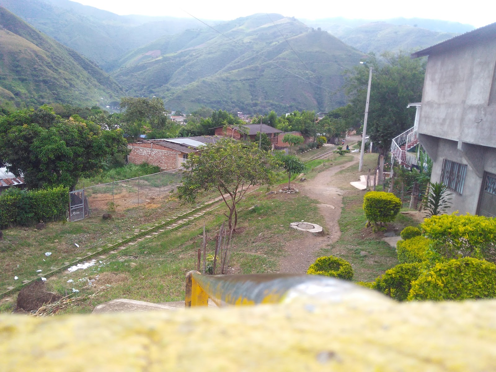 Dagua