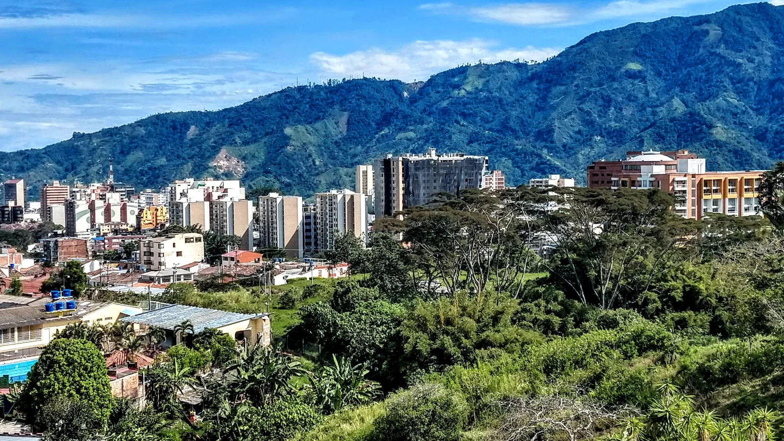 Ibague