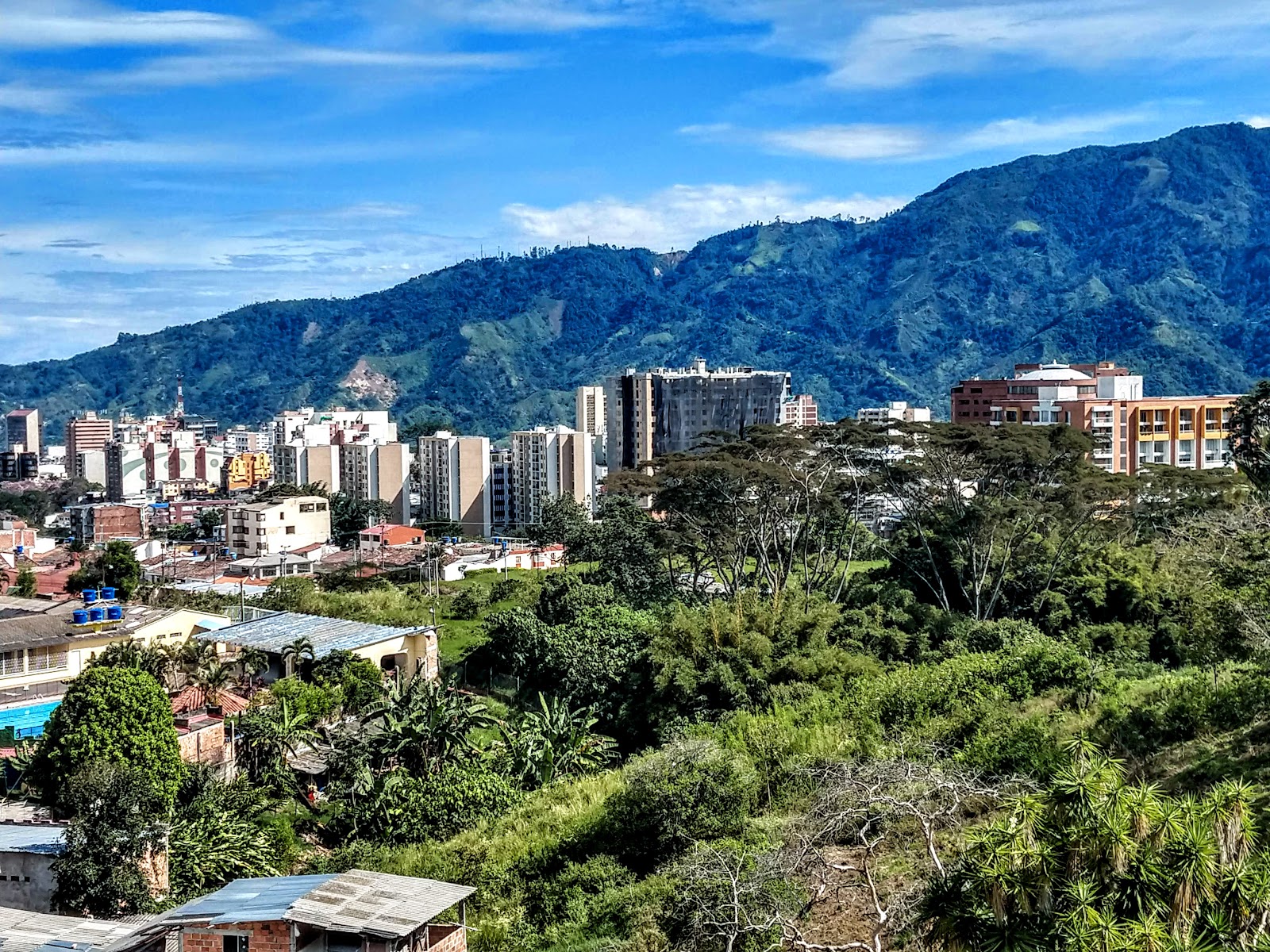 Ibague