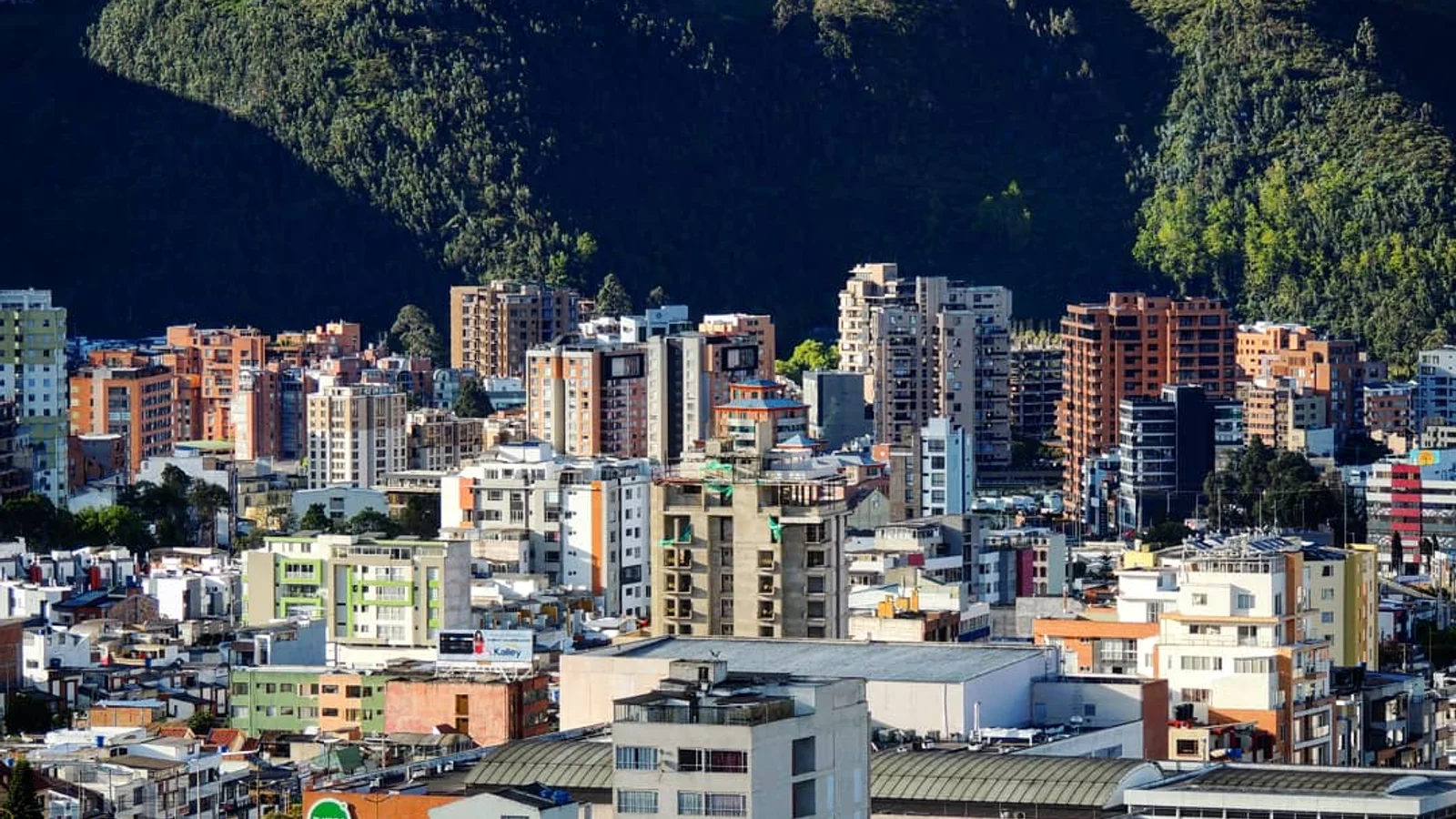 Pasto