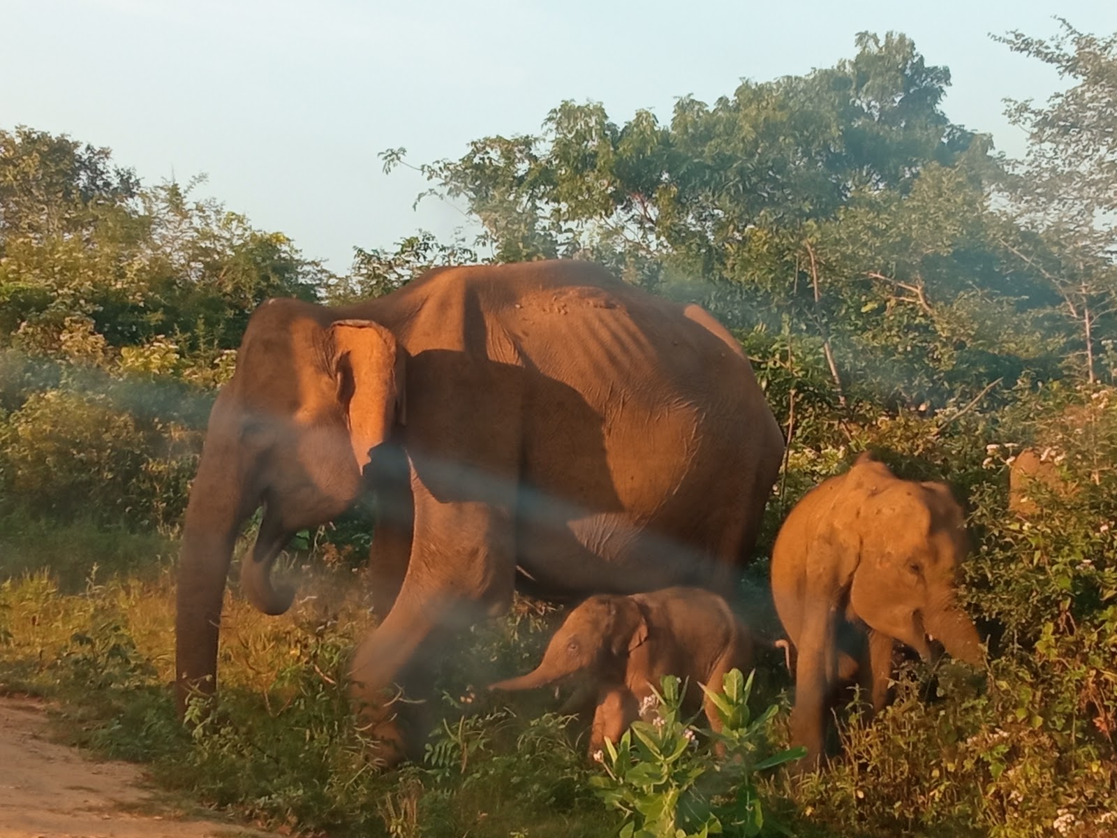 Udawalawa