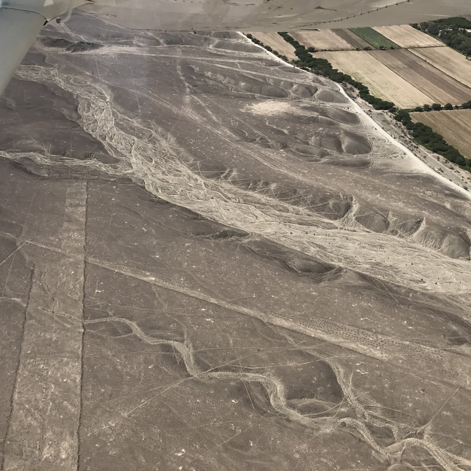 Nazca