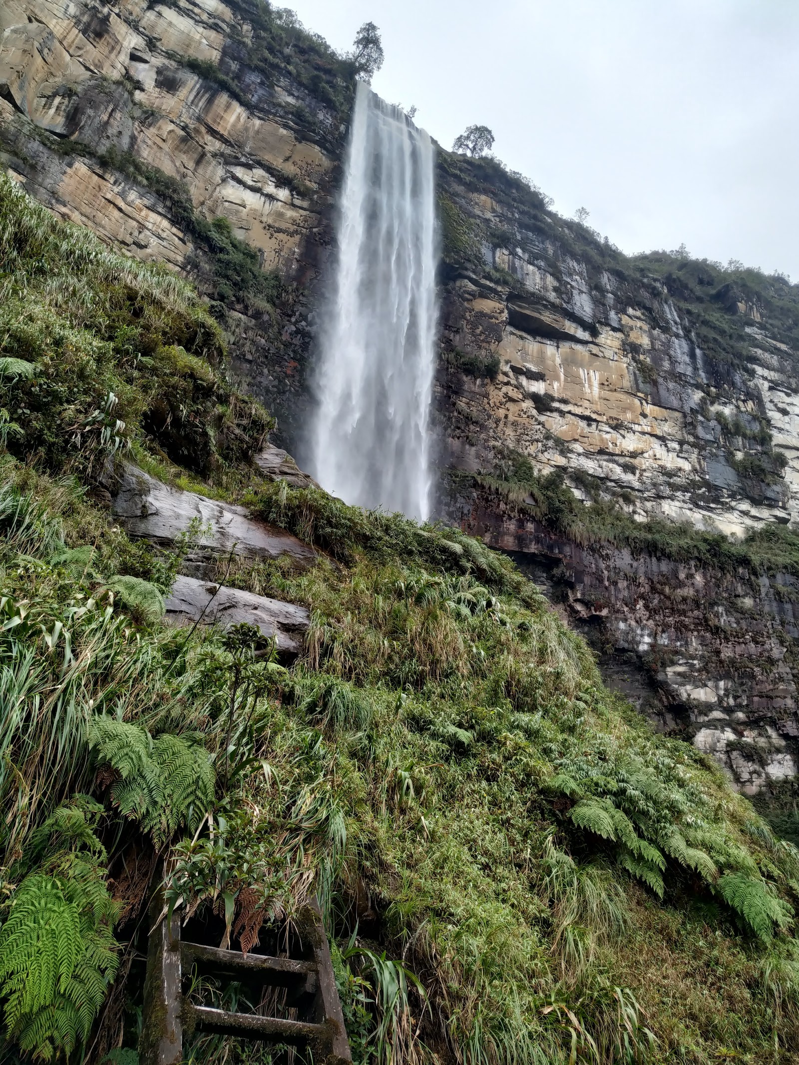 Chachapoyas