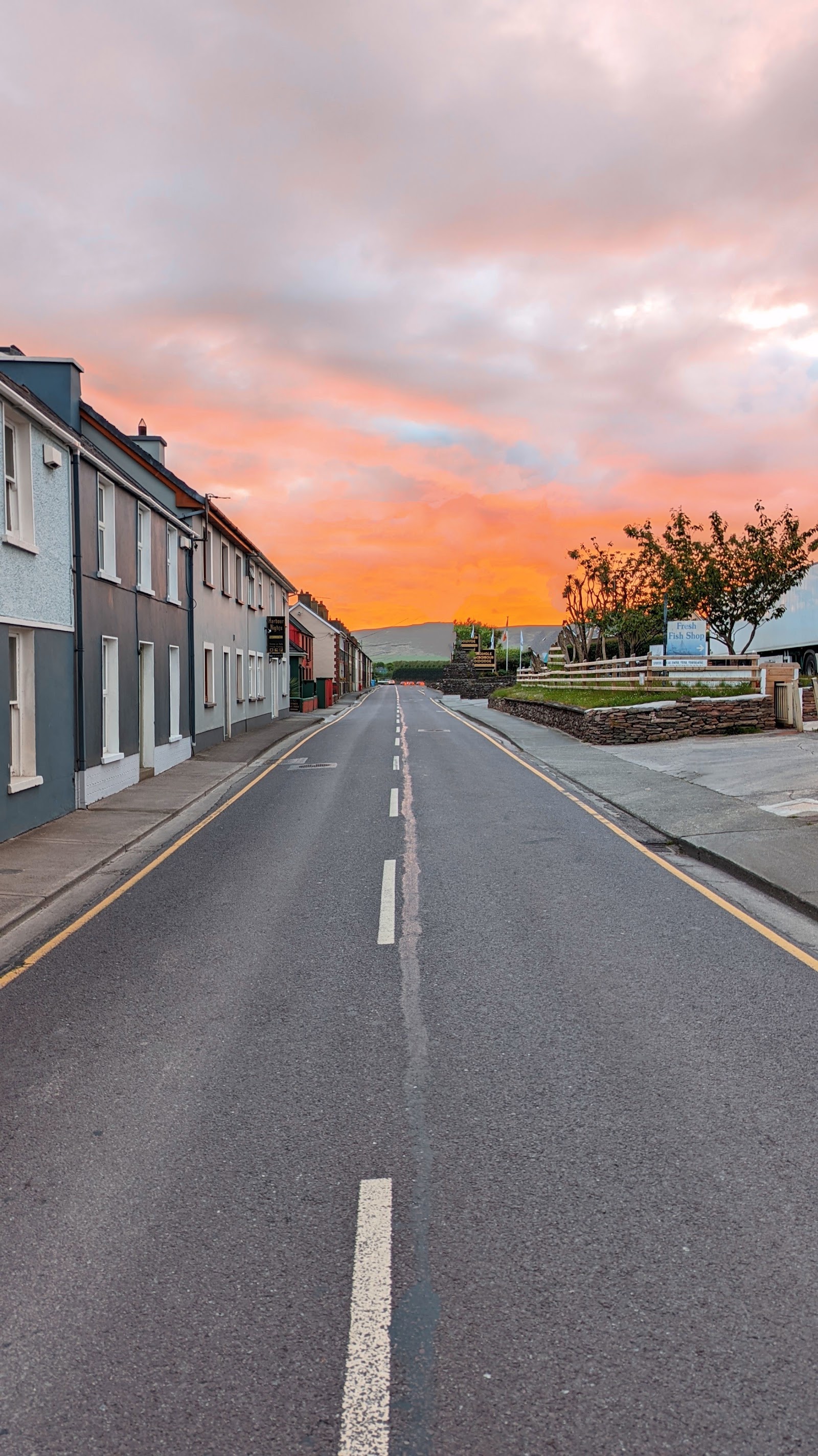 Dingle