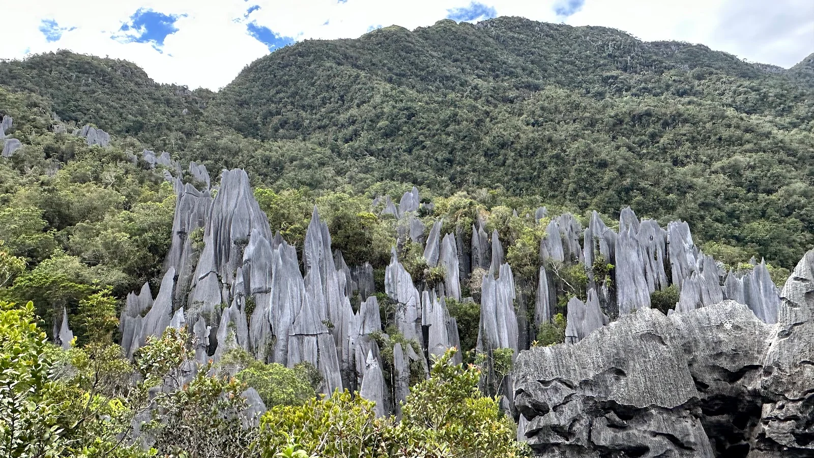 Gunung Mulu National Park