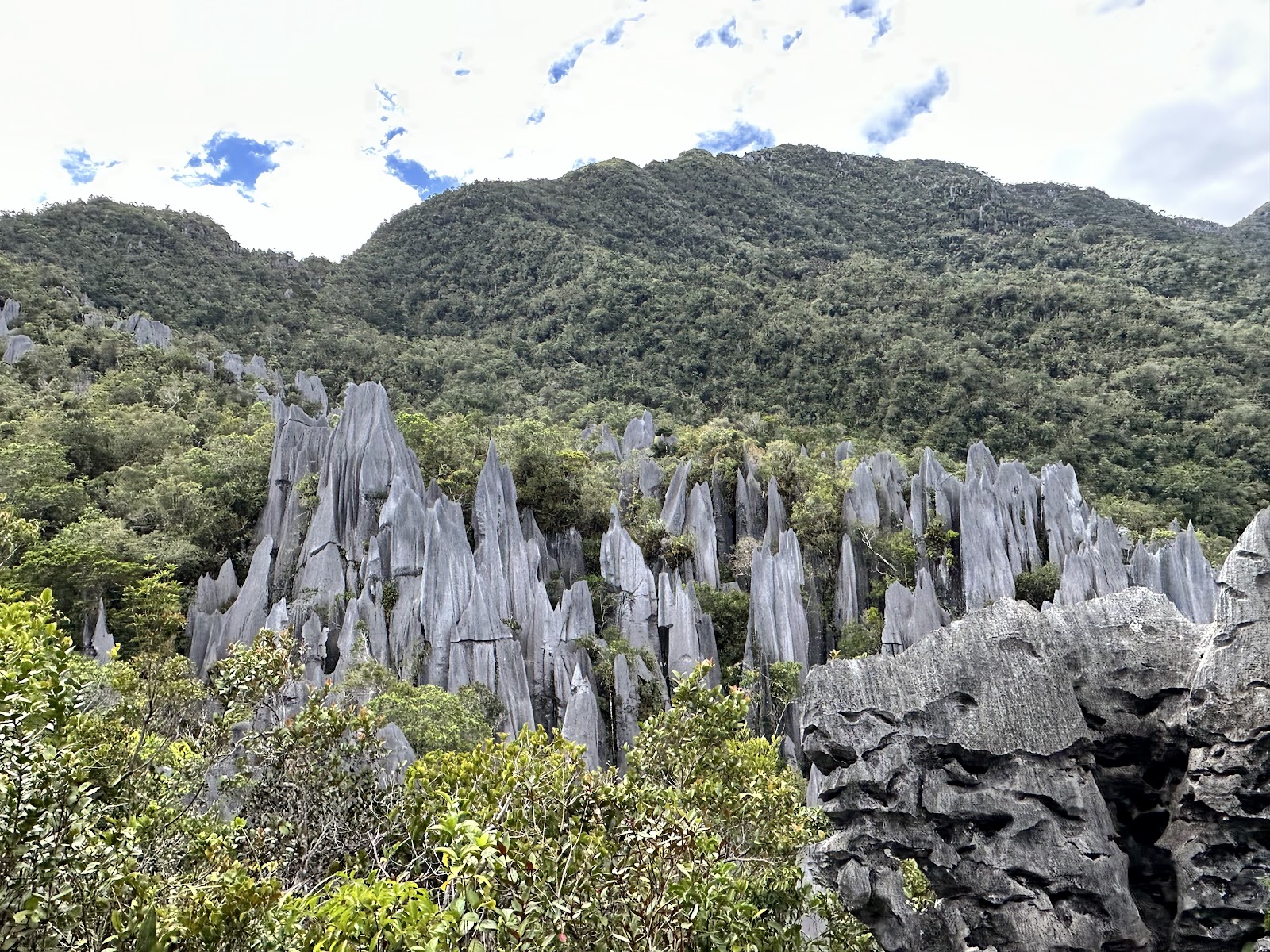 Gunung Mulu National Park