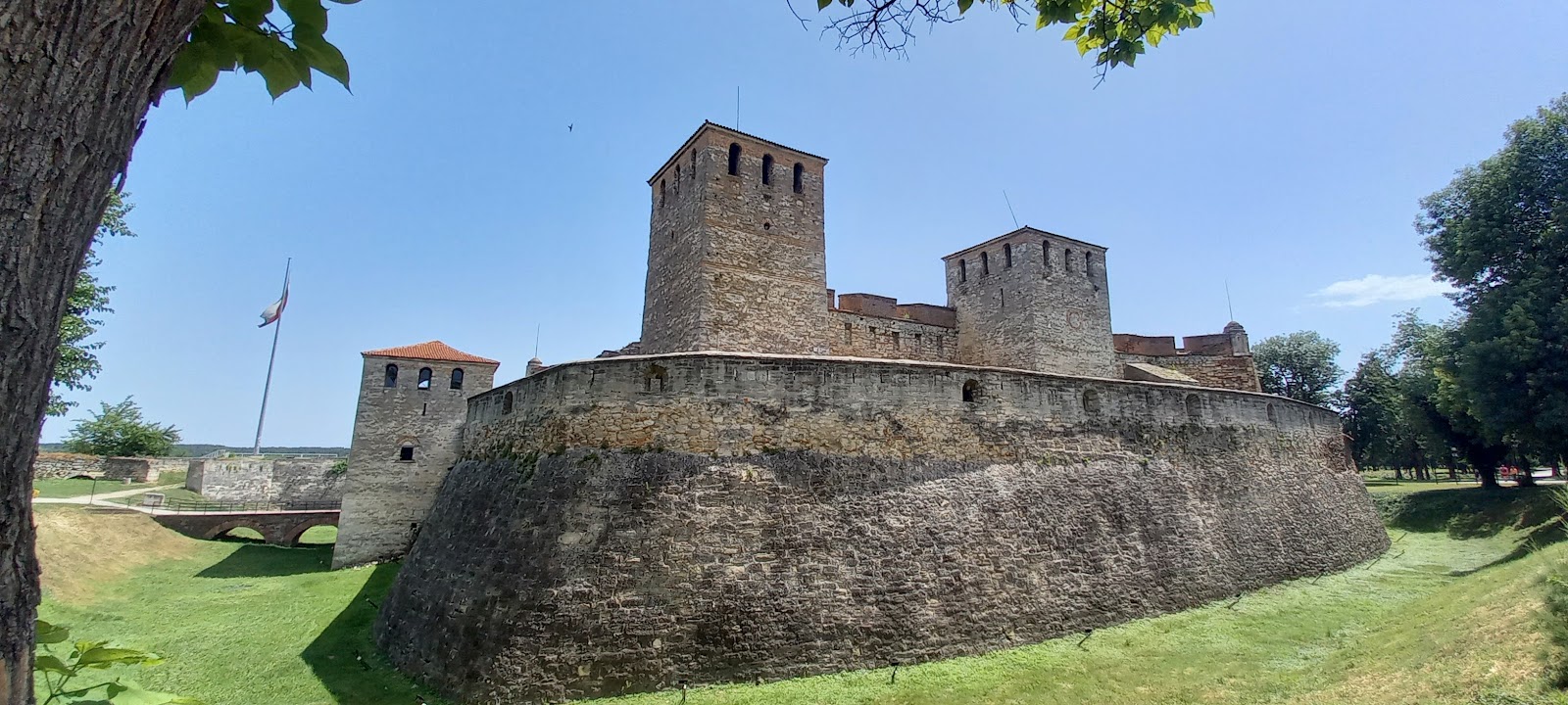Vidin