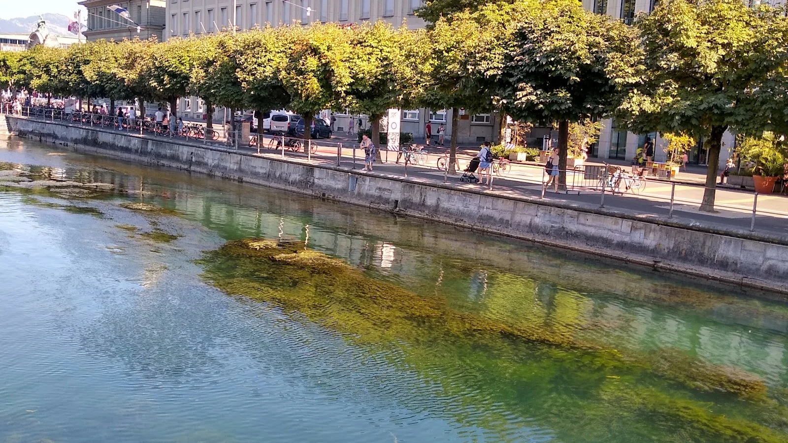Lucerne