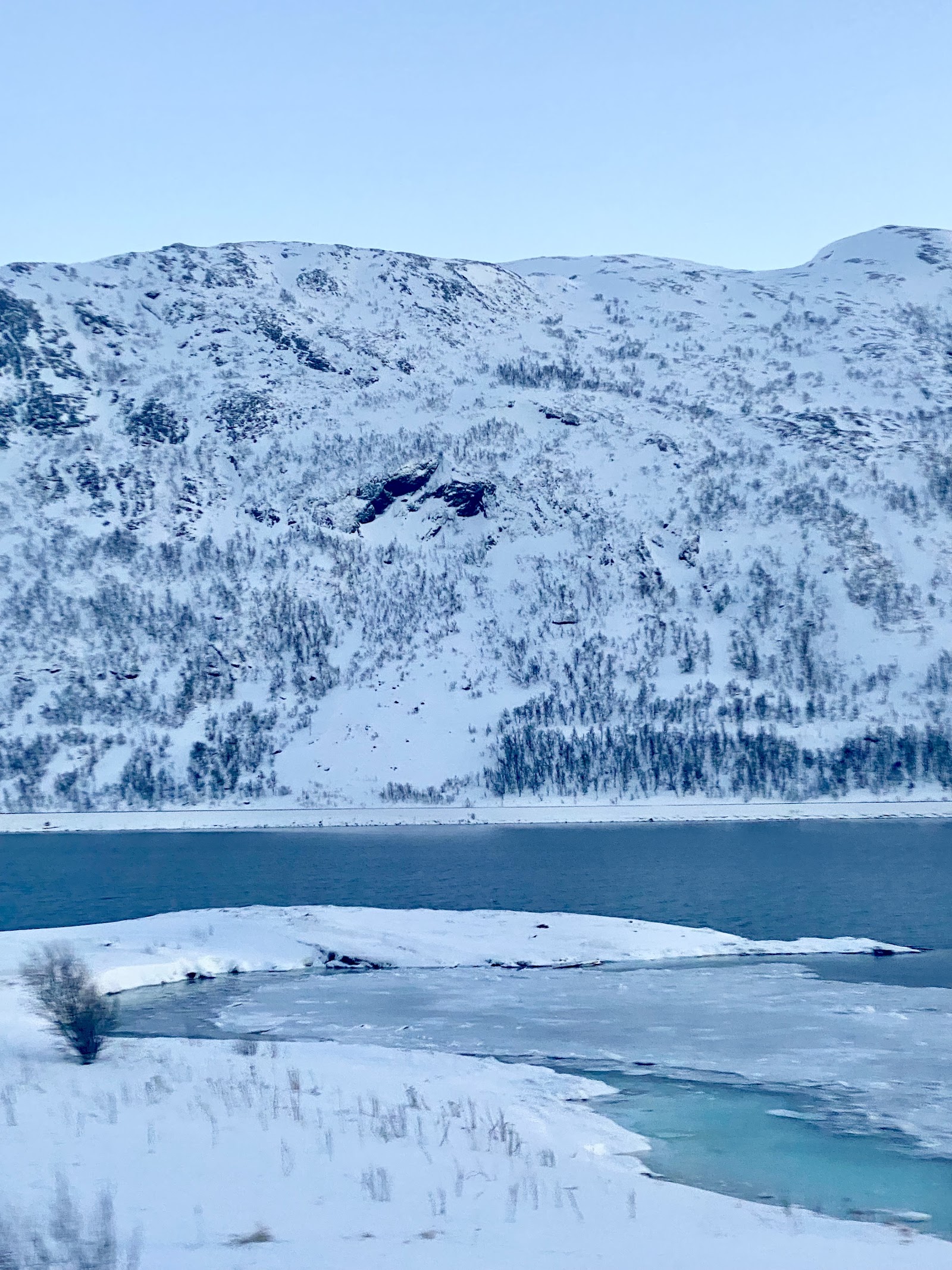 Alta