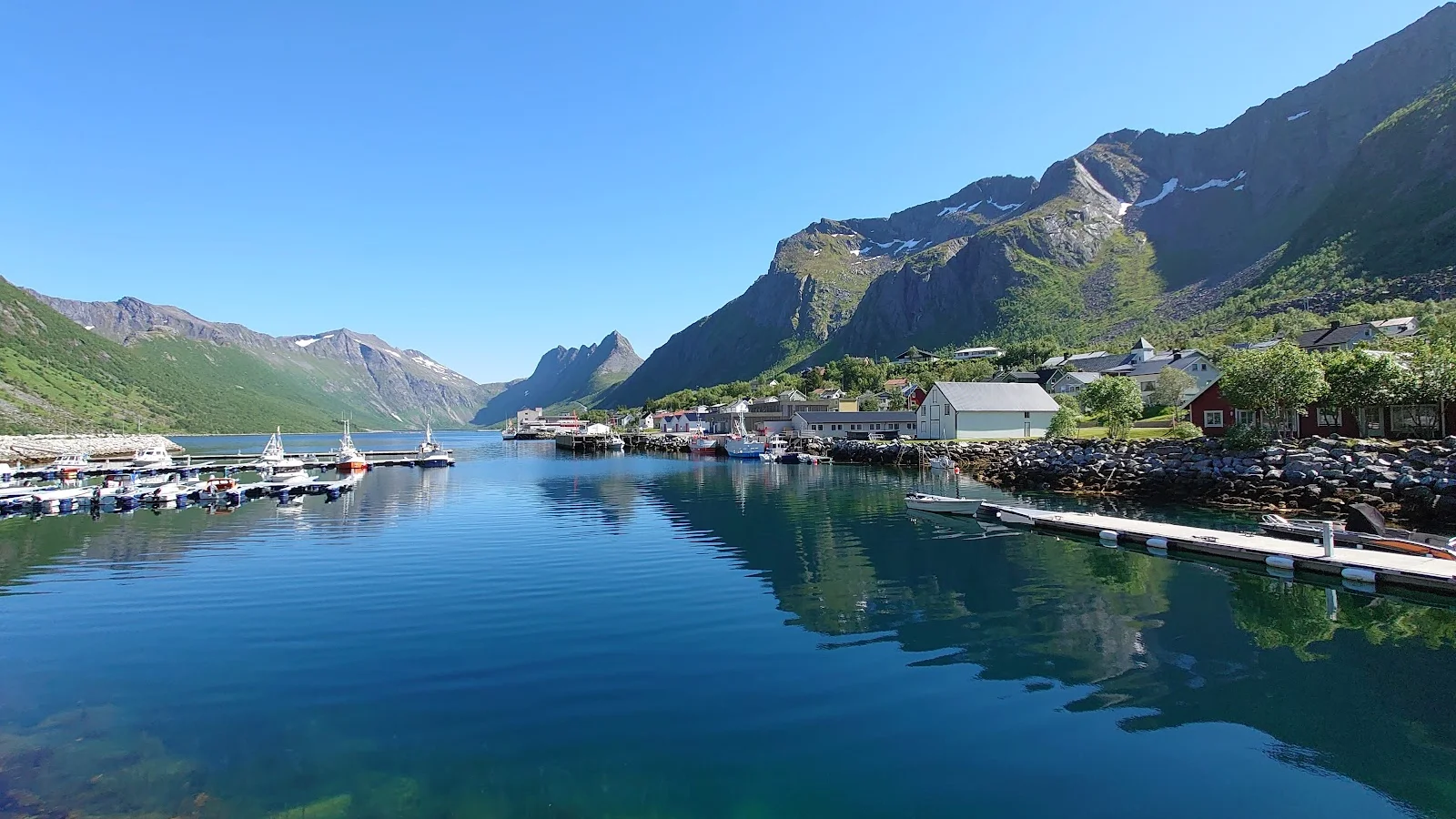 Senja