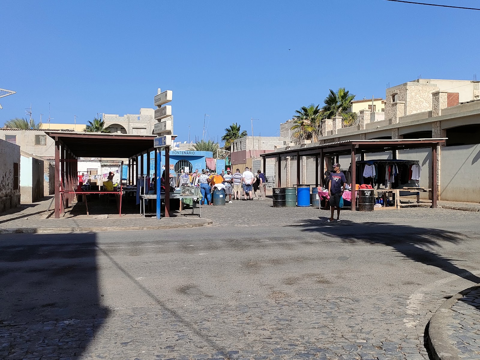 Palmeira