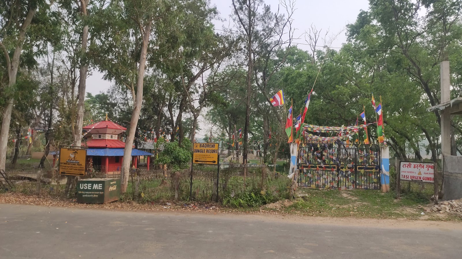 Sauraha