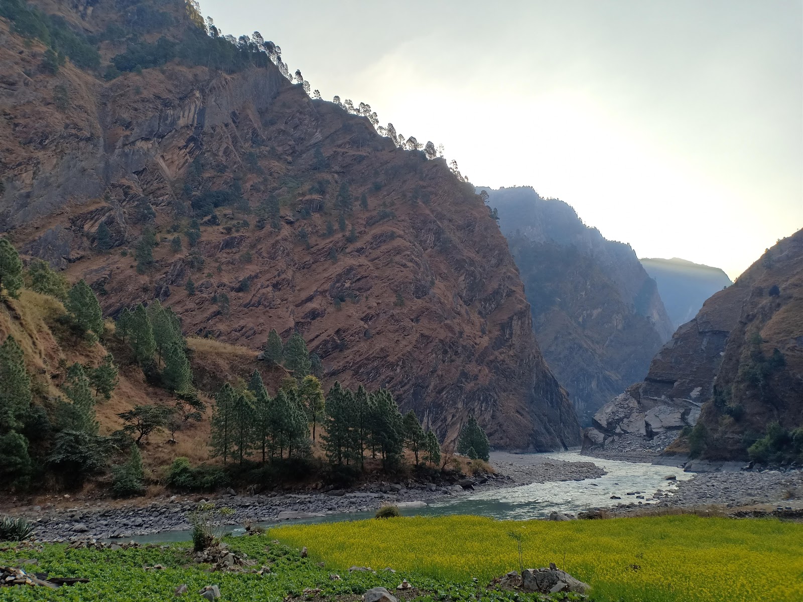 Jagat