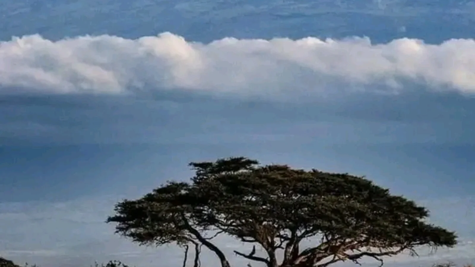 Parque Nacional Amboseli