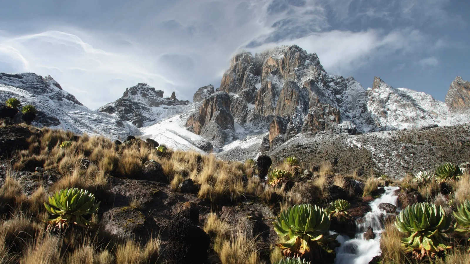 Mount Kenya National Park
