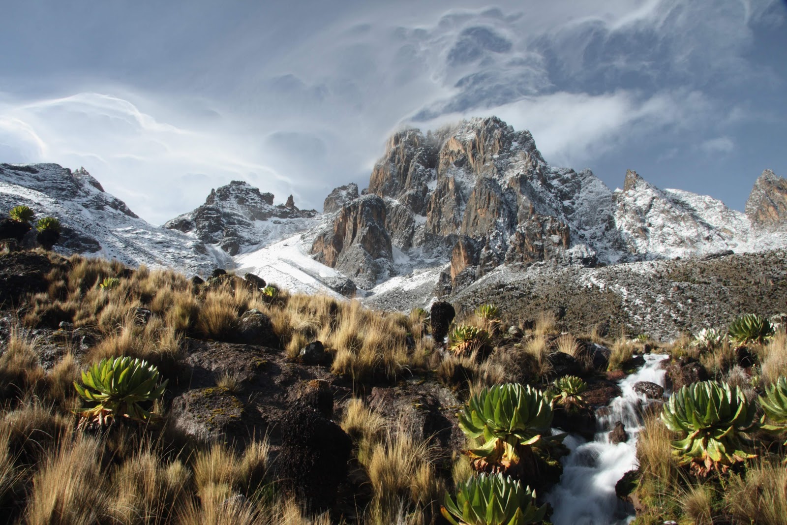 Mount Kenya National Park