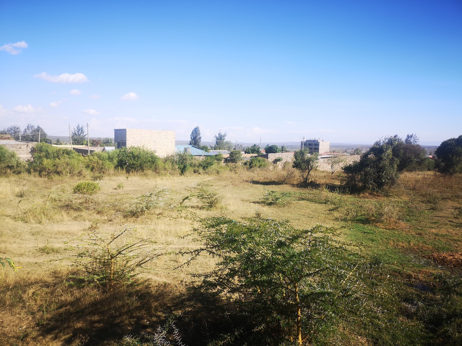 Narok