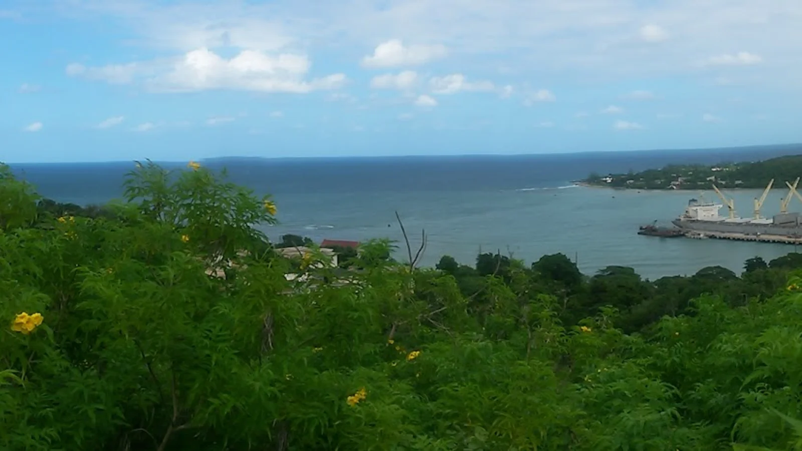 Trelawny