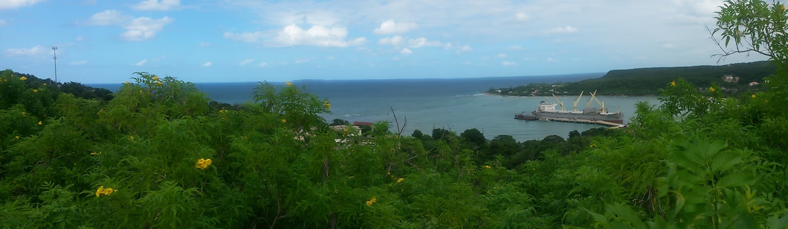 Trelawny