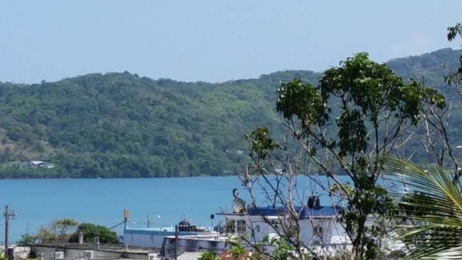 Lucea