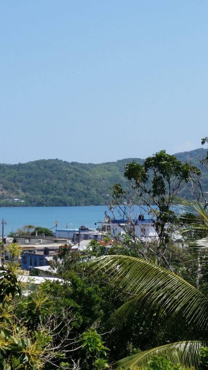 Lucea