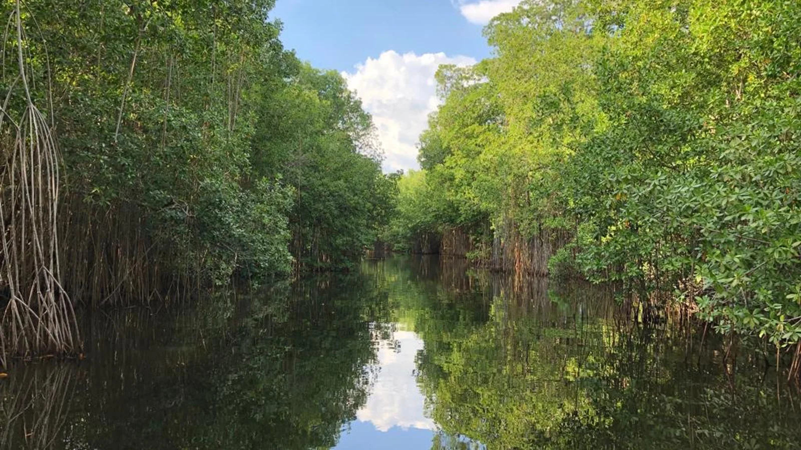 Black River